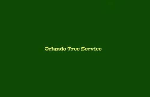 Orlando Tree Service Profile Picture